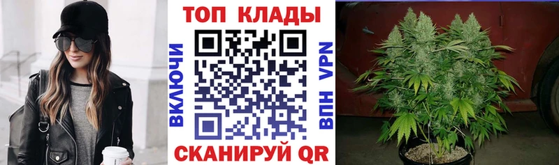Купить закладку Cocaine Меф мяу мяу Alpha-PVP Каннабис Калининград